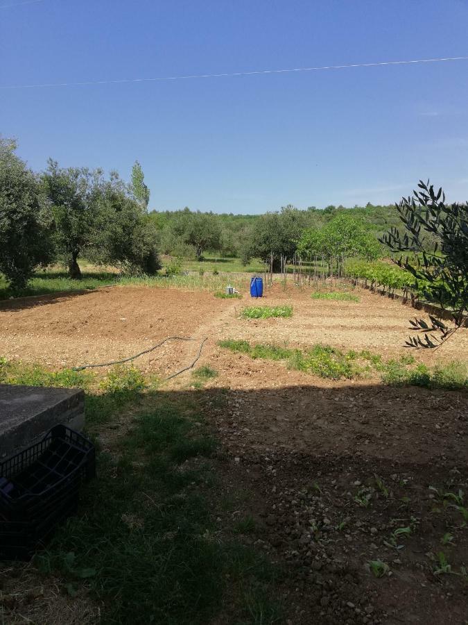 Apartmani Sladic Skradin Dış mekan fotoğraf